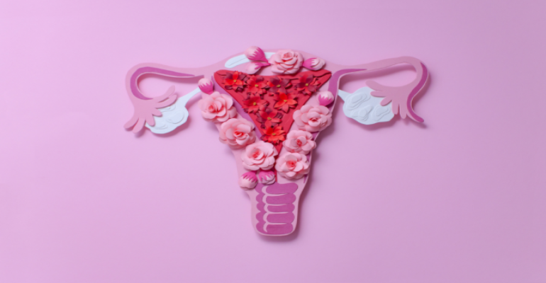 Rahim (Uterus) Çeşitleri