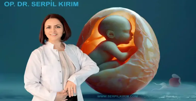 Qu'est-ce que le traitement par fécondation in vitro à Bakırköy ?